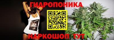 дмт Берёзовский