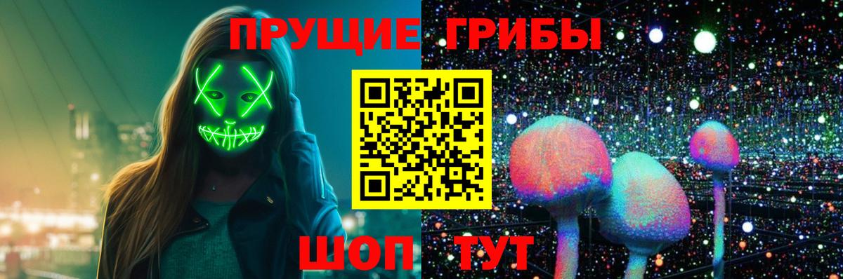 Галлюциногенные грибы Psilocybine cubensis  Вход с VPN  Галлюциногенные грибы MAGIC MUSHROOMS  Выкса 